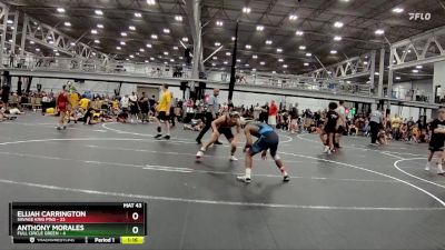 138 lbs Round 4 (8 Team) - Elijah Carrington, Savage King Pins vs Anthony Morales, Full Circle Green