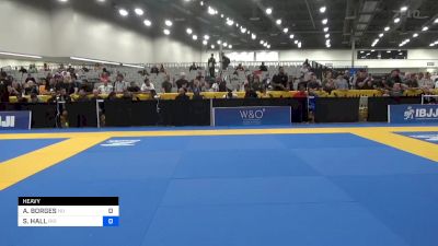 ANTONIO BORGES vs STEPHEN HALL 2024 World Masters IBJJF Jiu-Jitsu Championship