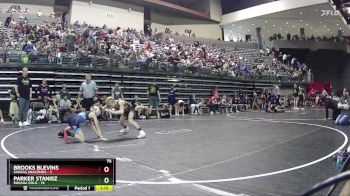 75 lbs Round 1 (6 Team) - Parker Stanisz, Indiana Gold vs Brooks Blevins, Kansas Anaconda