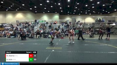 85 lbs Placement (4 Team) - Austin Auls, Kearsley vs Nico Adamo, Rochester