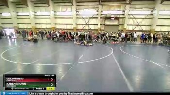 147 lbs Cons. Round 2 - Colton Bird, Grantsville vs Kaden Brown, Box Elder