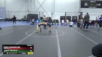 56 lbs Round 3 (4 Team) - Logan Vallalla, 4M vs Evan Lichenwalter, River WC