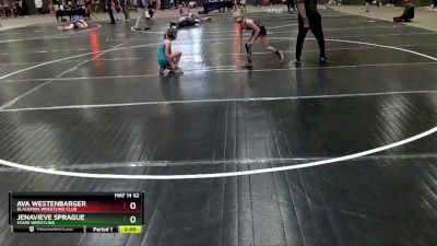 73 lbs Round 1 - Ava Westenbarger, Blackman Wrestling Club vs Jenavieve Sprague, Stars Wrestling