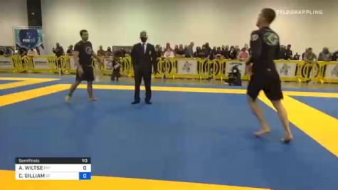 ANDREW WILTSE vs CAMERON GILLIAM 2020 IBJJF Pan No-Gi Championship