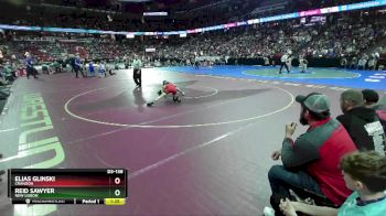 D3-138 lbs Quarterfinal - Elias Glinski, Crandon vs Reid Sawyer, New Lisbon