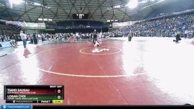 84 lbs Cons. Round 2 - Logan Choi, Cherry Creek Wrestling Club vs Tiamo Sausau, Sua Sponte Wrestling Club