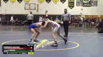 113 lbs Round 3 - Harrison Haffner, Brecksville-Broadview Heights, OH vs Lucca Bruno, Revere