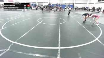 123 lbs Consolation - Teagan Wilson, Red Dot Wrestling Club vs Cerline Dominguez, Matador Wrestling Club