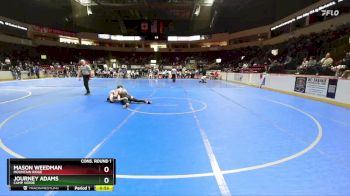 132 lbs Cons. Round 1 - Journey Adams, Camp Verde vs Mason Weedman, Mountain Ridge