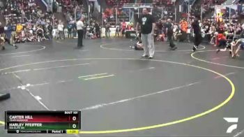 81 lbs Semifinal - Carter Hill, Team Donahoe vs Harley Pfeiffer, Ida Elite WC