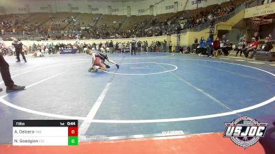 73 lbs Consolation - Adrian Deloera, Tuttle Wrestling Club vs Noah Goodgion, Chandler Takedown Club