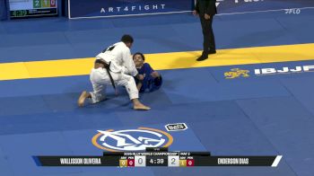 Wallison Olivereira vs Enderson Dias 2026 World Jiu-Jitsu IBJJF Championship