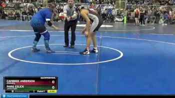 250 lbs Quarterfinal - Cambree Anderson, Bismarck vs Paris Eslick, Jamestown