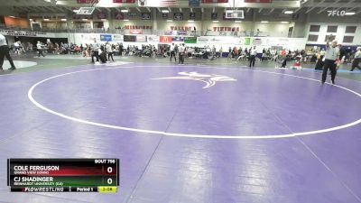 149 lbs Quarterfinal - Cj Shadinger, Reinhardt University (GA) vs Cole Ferguson, Grand View (Iowa)