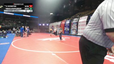 113 Class 1 lbs Champ. Round 1 - Reece Stufflebean, Marceline vs Cj Schmitten, Plattsburg