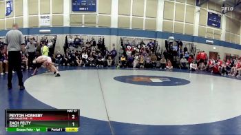 138 lbs Placement (16 Team) - Zach Felty, Hobart vs Peyton Hornsby, New Palestine