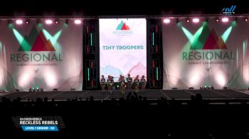 US Cheer Rebels - Reckless Rebels [2025 L1 Senior - D2 Day 2] 2025 The Northeast Regional Summit