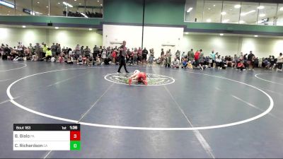 65 lbs Quarterfinal - Brooks Bialo, PA vs Charleigh Richardson, GA