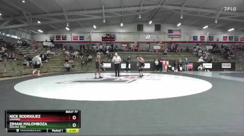 133 lbs Champ. Round 2 - Zimani Malomboza, Indiana Tech vs Nick Rodriguez, Lourdes