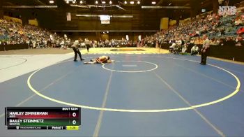 5A - 132 lbs Semifinal - Harley Zimmerman, Hays vs Bailey Steinmetz, Newton