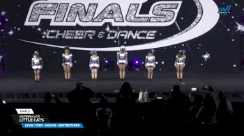 Chi-Town C A T S - Little Cats [2025 L1 Tiny - Novice - Restrictions Finals] 2025 The U.S. Finals Chicago