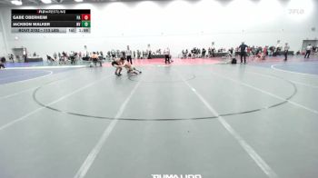 113 lbs Round Of 16 - Gabe Oberheim, PA vs Jackson Walker, NV