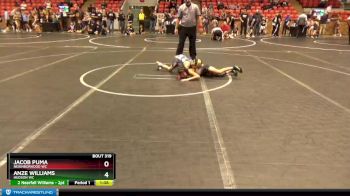 68 lbs Semifinal - Anze Williams, Hudson WC vs Jacob Puma, Neighborhood WC