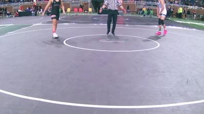 D1-190 lbs Quarterfinal - Dominic Nauss, Brighton vs Kaidyn Gantz, Livonia Stevenson