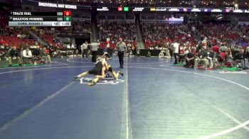 3A-120 lbs Cons. Round 2 - Braxton Hummel, Carlisle vs Trace Rial, Fort Dodge