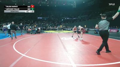 2A/1A Boys 157 Semifinal - Talon Harvey, North Douglas / Elkton Boys vs Anthony Pallis, Imbler Boys