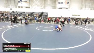 70 lbs Cons. Round 5 - Connor Ibowicz, Revolution Elite Wrestling vs Cole DeSanto, Hilton Jr Cadets Wrestling Club