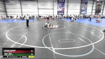 68 lbs Rd# 7- 10:45am Saturday Final Pool - Logan Dodge, Team Michigan vs Trey Bell, Minion Black