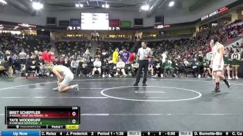 220 lbs Consolation Wb - Tate Woodruff, 8-Dubuque Hempstead vs Bret Scheffler, 5-Valley, West Des Moines