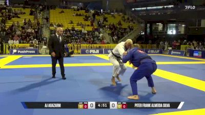 Piter Frank Almeida Silva vs AJ Agazarm 2025 Master International IBJJF Jiu-Jitsu North American Championship