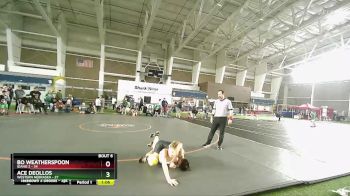 117 lbs Round 3 (4 Team) - Bo Weatherspoon, Idaho 2 vs Ace Deollos, Western Nebraska