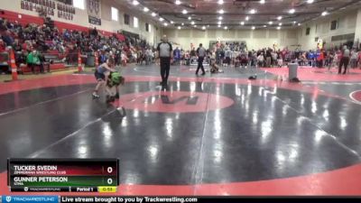 65 lbs Cons. Round 3 - Tucker Svedin, Zimmerman Wrestling Club vs Gunner Peterson, STMA