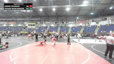 138 lbs Quarterfinal - Gabriel Delbridge, Eaglecrest WC vs Anthony Reyes Morales, No Team