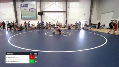 109 lbs Rr Rnd 3 - Austin Bernash, Meatballs vs Grady Erlandson, Michigan Premeir Gold