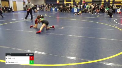 88 lbs Consy 3 - Alton Vail, Laurel Highlands vs Evan Tanner, Westshore