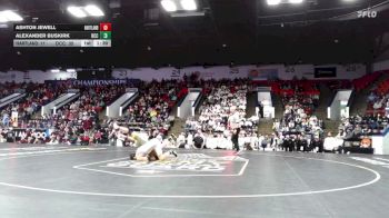 157 lbs Finals (8 Team) - Alexander Buskirk, Detroit Catholic Central vs Ashton Jewell, Hartland