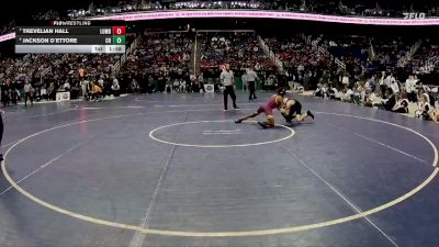 4A 106 lbs 1st Place Match - Jackson D`Ettore, Charlotte Catholic High School vs Trevelian Hall, Lumberton