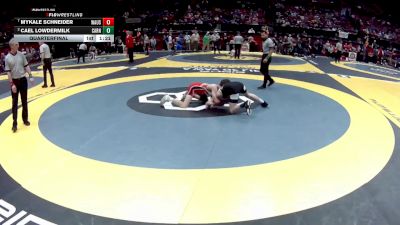 D2-113 lbs Quarterfinal - Mykale Schneider, Wauseon vs Cael Lowdermilk, Carrollton