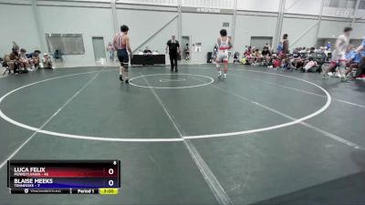 165 lbs Quarters & 1st Wb (16 Team) - Luca Felix, Pennsylvania vs Blaise Meeks, Tennessee