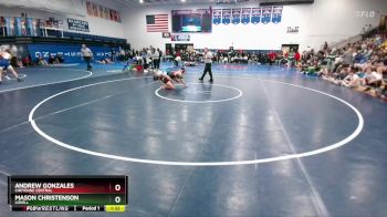 138 lbs Quarterfinal - Andrew Gonzales, Cheyenne Central vs Mason Christenson, Lovell