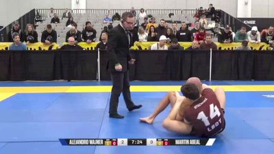 Alejandro Wajner vs Martin Abeal 2024 World IBJJF Jiu-Jitsu No-Gi Championship