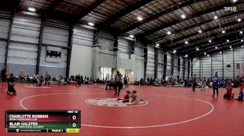 60 lbs Round 4 - Charlotte Robbins, Bison Takedown Club vs Blair Halsted, Sebolt Wrestling Academy