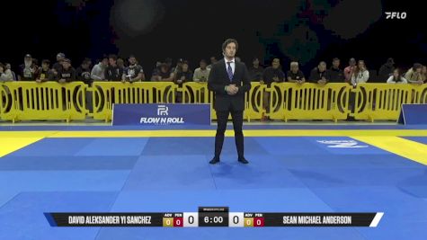 Sean Michael Anderson vs David Aleksander Yi Sanchez 2025 Pan IBJJF Jiu-Jitsu No-Gi Championship