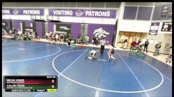 117 lbs Quarterfinal - Micah Jones, Box Elder Stingers vs Callin Craig, Payson Lion Wrestling Club