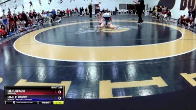 138A Cons. Round 2 - Lili Ujfalvi, Gannon vs Halle White, North Central College