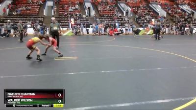 76 lbs Quarterfinal - Walker Wilson, Midwest RTC vs Nathyn Chapman, Dark Horse WC